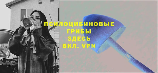 крисы Вяземский