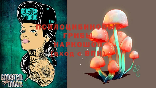 МДПВ Вязьма
