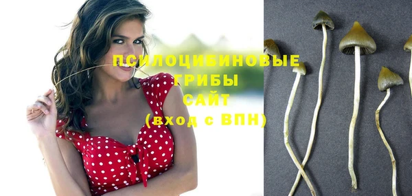 крисы Вяземский